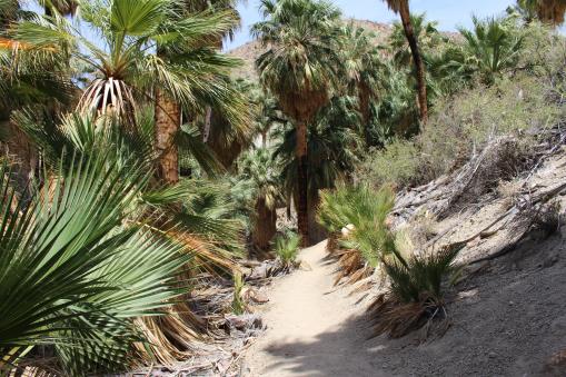 Palm Springs, California, USA