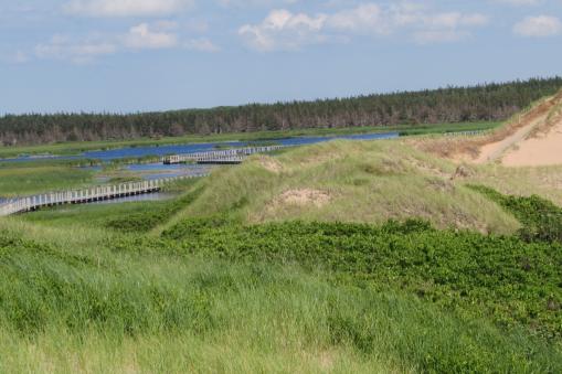 Greenwich Dunes, PEI