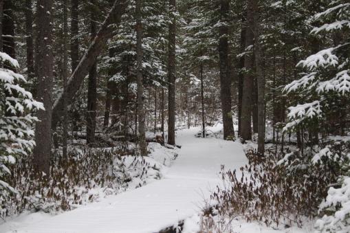 Quetico Provincial Park, ON