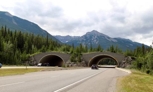 Trans Canada Highway Overpass